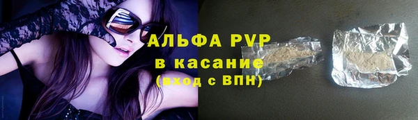 стаф Приозерск