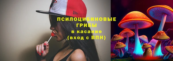 амф Алзамай