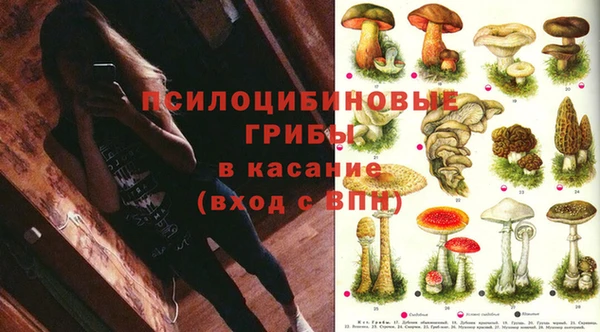 амф Алексеевка